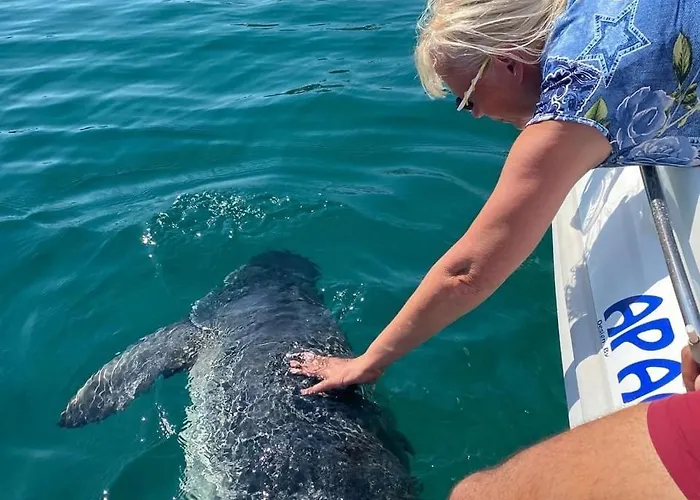 Sk & Aparthotel Neo Klima